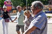 DSC08921-Large
